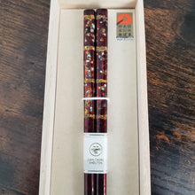 Load image into Gallery viewer, Wakasa Lacquered Shell Chopsticks - Mikage - / Dark Brown
