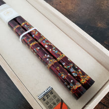 Load image into Gallery viewer, Wakasa Lacquered Shell Chopsticks - Mikage - / Dark Brown
